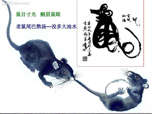 72年生肖鼠,下半生路上关卡多,只能一关一关的过,都是命!