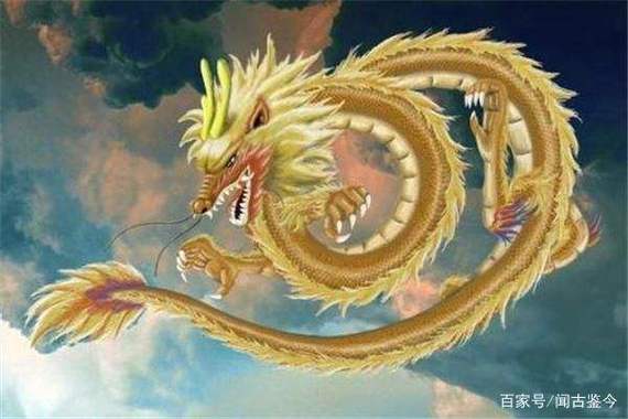 属兔属龙相害怎么化解