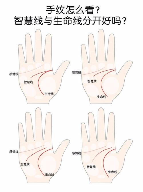 智慧线和生命线分开究竟代表了什么