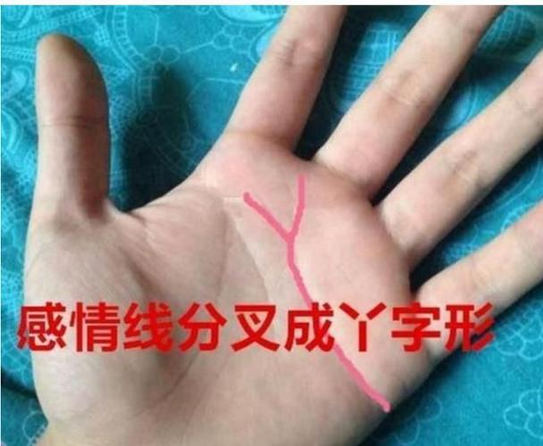 八字看哪些夫妻能够情投意合_子非鱼师傅给你详解