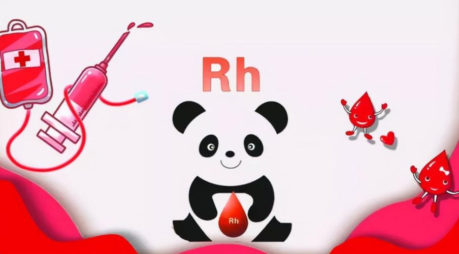 A型血人职场中最大的优势是什么