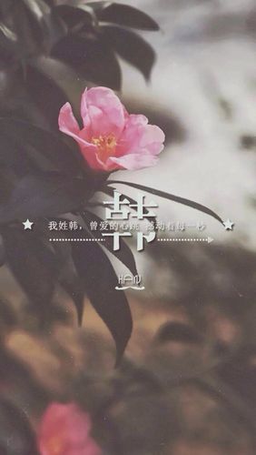 霸气帅气韩姓名字100分首选
