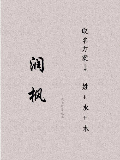 2021年11月12日农历十月初八出生的男孩起独特洋气的名字