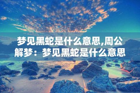 梦见被黑蛇追是什么预兆