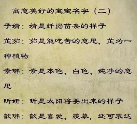 子的取名含义是什么