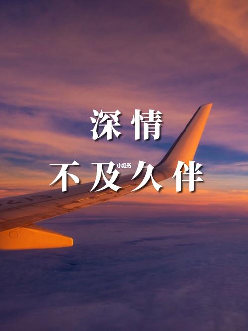 追这些星男,深情不及久伴