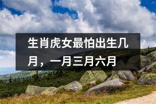生肖虎女最怕出生几月