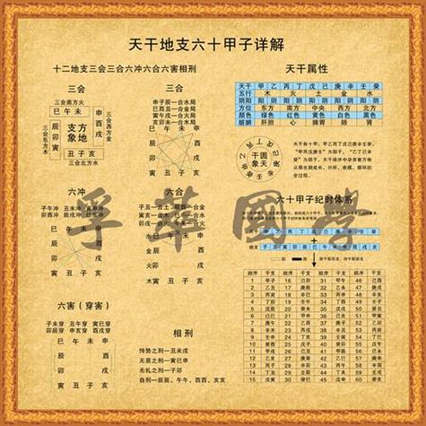 十干支精解-甲木