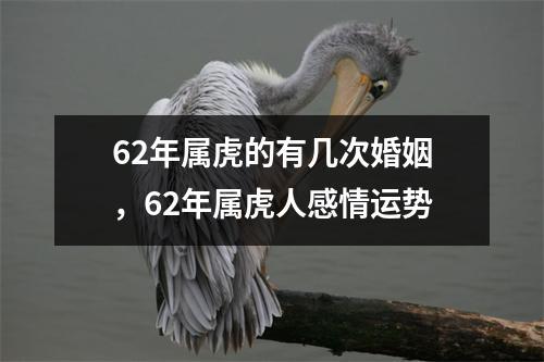 1962年属虎的男人婚姻是怎样的
