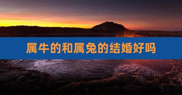 2021年牛和兔结婚的好日子有哪些,结婚好吗