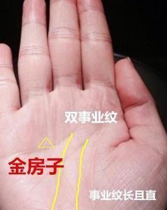最正宗的手相金房子