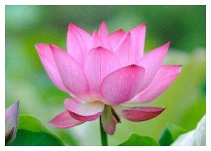 5月下旬开始,吉星照顾,鸿运当头,再也不贫困了四大生肖
