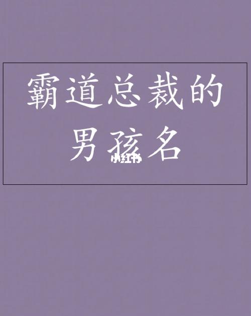 小说里霸道总裁的名字