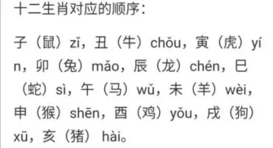 划重点,开扒12生肖的财运关键词