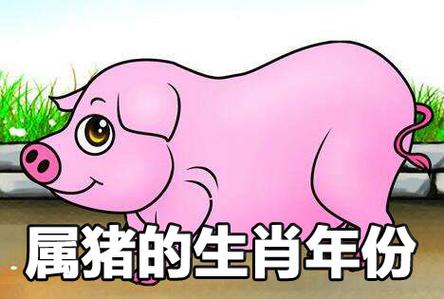 属猪的人最怕什么属相