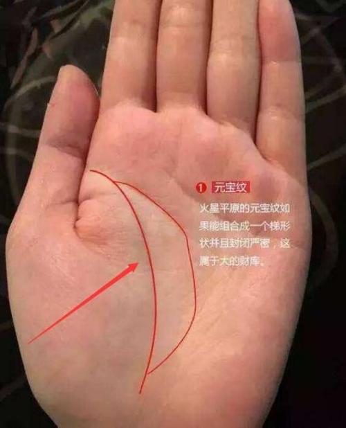婚后掌权的生肖女,钱权在手一人独大