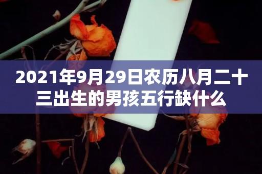 2021年小年夜出生的孩子五行缺什么,这天出生日子好吗