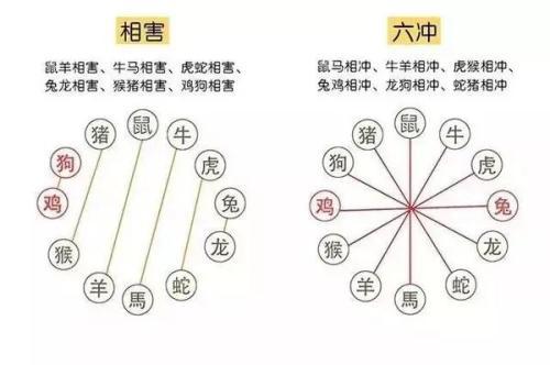立场不稳是什么生肖
