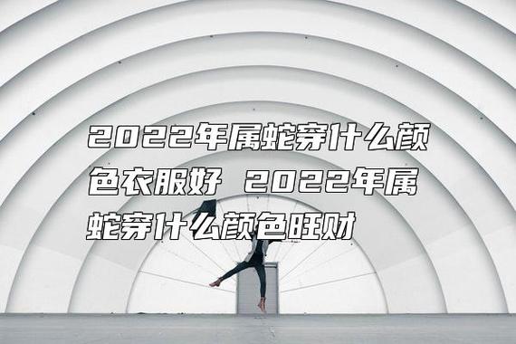 属蛇的人穿什么颜色的衣服最好