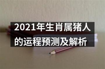 猪年生人2021年运势运程