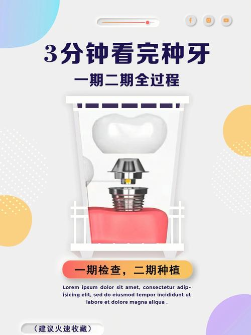 12种牙看你的一生