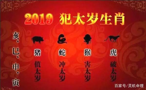 属虎的今年多大了2019年