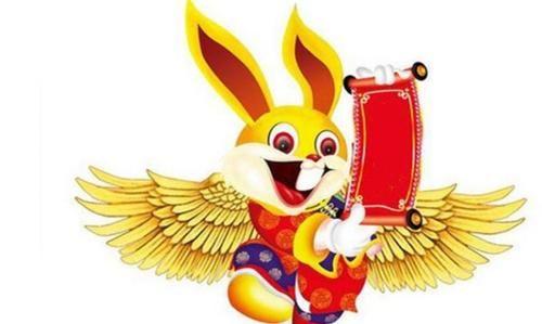 63年属兔的今年财运好不好
