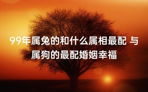 属狗男的和属兔女的在一起好吗?属兔女最佳婚配是什么?