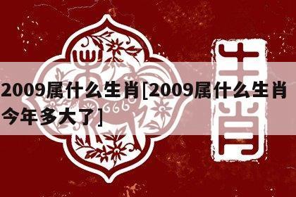 2009年的属什么生肖