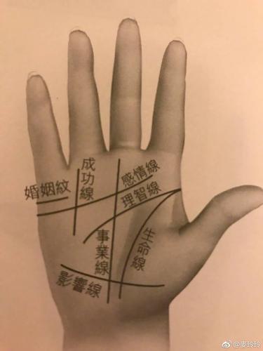 图解:麦玲玲教你看手相,如此简单