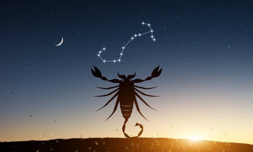 天蝎座 大熊星座