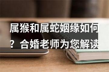 男猴女蛇合婚吗