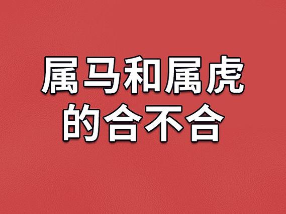 属虎和属马的婚姻怎么样