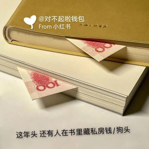 处女女对于老公藏私房钱的态度
