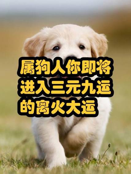 2021年属狗何时走大运