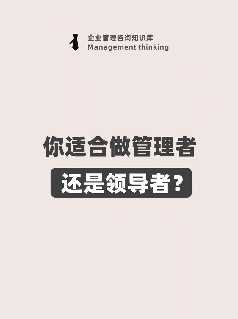 你是公司的领导者吗