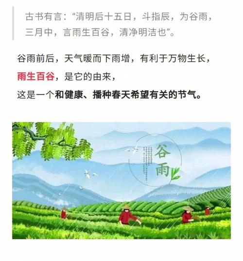 谷雨时节生肖兔开运指南