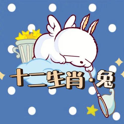 属兔下班回家想做的第一件事