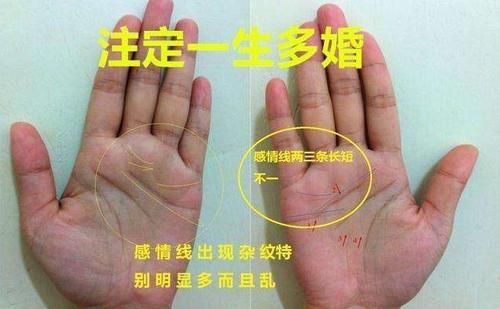 手相揭秘配偶外遇