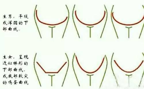 肚脐看男女福禄宫