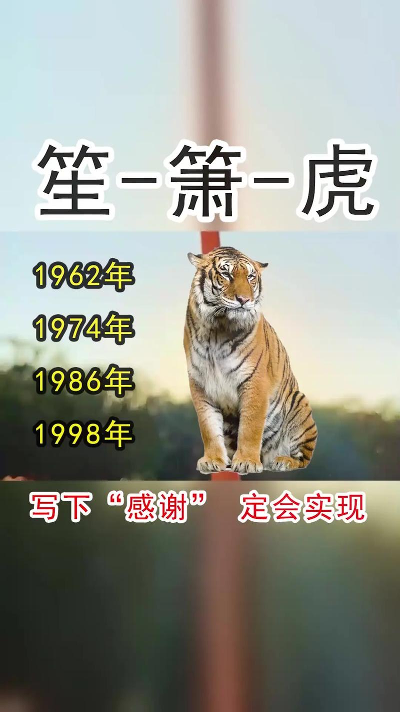 这些生肖愿颠沛流离再遇真爱也不愿将就