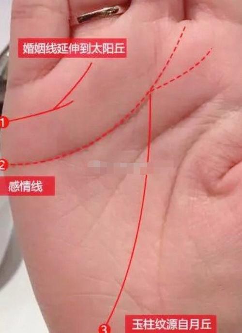 感情线末端分叉