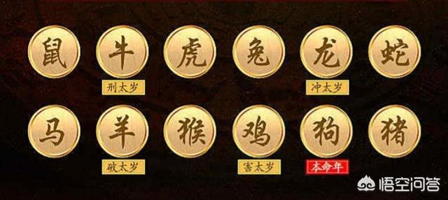 鼠本命年的大忌有哪些