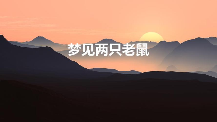 梦见两只老鼠
