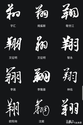 翔字最佳搭配应什么字