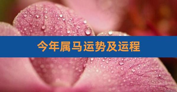 属马人2023年运势及运程详解