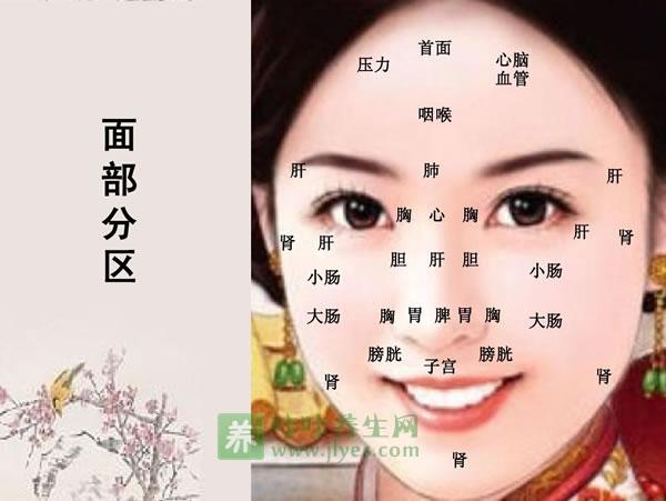 面部特点透视你的五行属性