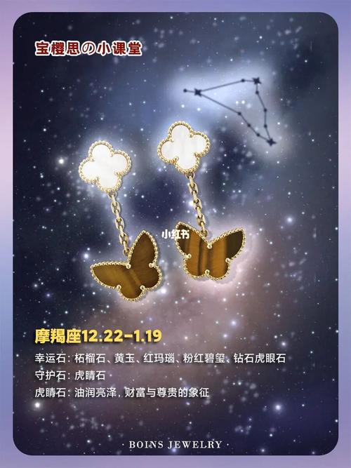 珊瑚 星座能量石