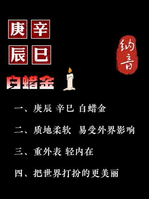 详解辛巳白蜡金的具体含义