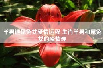 生肖男兔和生肖女羊的爱情